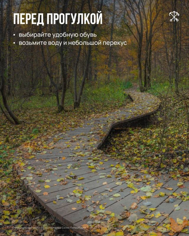 Экотропа «У Лукоморья» — место, где прогулка превращается в небольшое путешествие по русским сказкам Экотропа «У Лукоморья» — место, где прогулка превращается в небольшое путешествие по русским сказкам