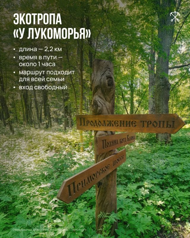 Экотропа «У Лукоморья» — место, где прогулка превращается в небольшое путешествие по русским сказкам Экотропа «У Лукоморья» — место, где прогулка превращается в небольшое путешествие по русским сказкам