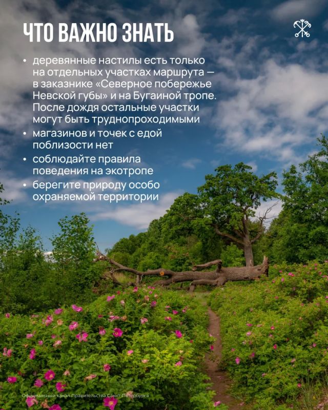Экотропа «У Лукоморья» — место, где прогулка превращается в небольшое путешествие по русским сказкам Экотропа «У Лукоморья» — место, где прогулка превращается в небольшое путешествие по русским сказкам