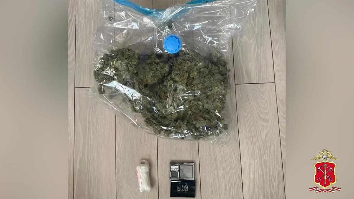 Полицейские Петербурга пресекли деятельность предполагаемых наркосбытчиков