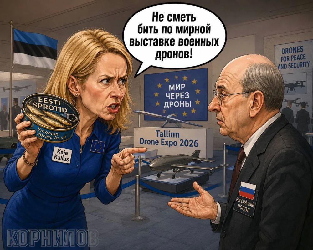Владимир Корнилов: Вот представил, что эстонская шпротина будет рассказывать нашему послу по поводу удара по «мирной» выставке боевых дронов, предназначенных для убийства российских граждан
