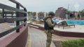 Александр Коц: Киев снова убивает спящих детей
