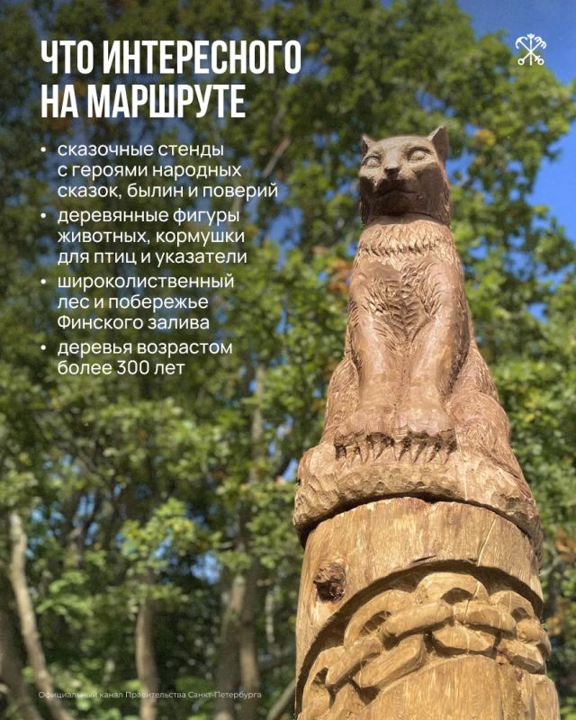 Экотропа «У Лукоморья» — место, где прогулка превращается в небольшое путешествие по русским сказкам Экотропа «У Лукоморья» — место, где прогулка превращается в небольшое путешествие по русским сказкам