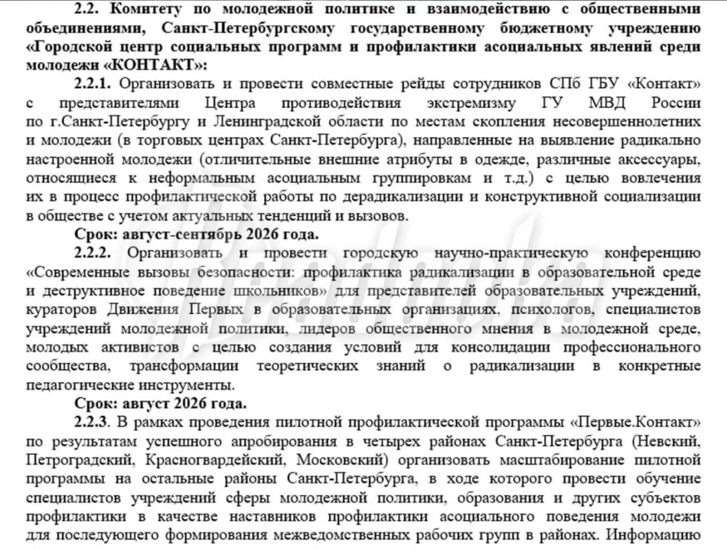 В торговых центрах Петербурга проведут рейды для выявления «радикально настроенной молодежи»