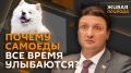 "Живая природа" с Эдгардом Запашным и Ниной Ватт