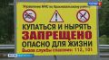 Роспотребнадзор проверил качество воды на пляжах Петербурга и Ленобласти