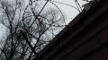 Троих мужчин отправили в колонию за массовую драку возле школы в Московском районе