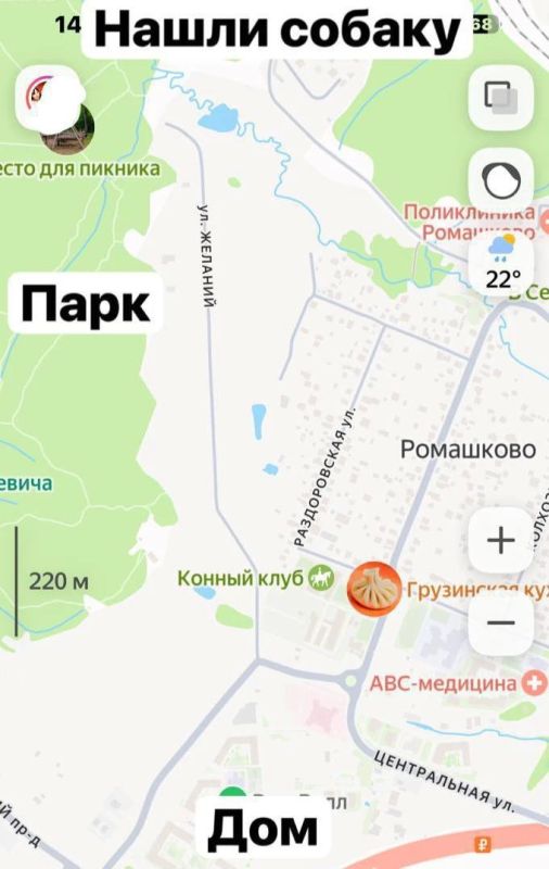 Собака почти две недели не отходила от убитой хозяйки в Подмосковье Собака почти две недели не отходила от убитой хозяйки в Подмосковье