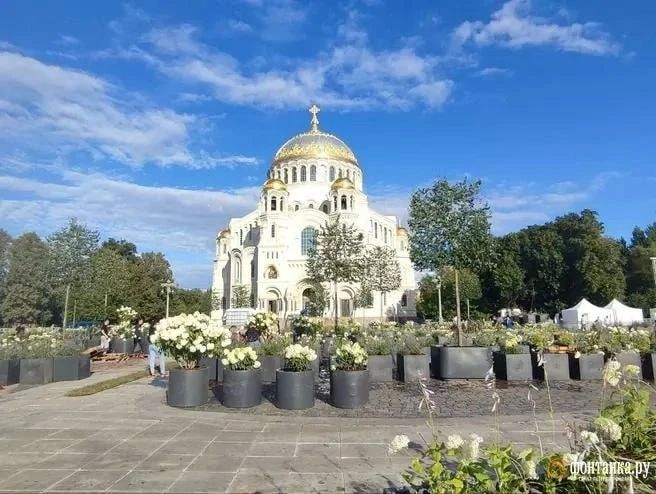 Сад-трансформер в Кронштадте, который был оперативно собран ко дню ВМФ в 2023 году и обошелся бюджету в 52,7 млн рублей, привел к иску прокуратуры против администрации Кронштадтского района и подрядчика
