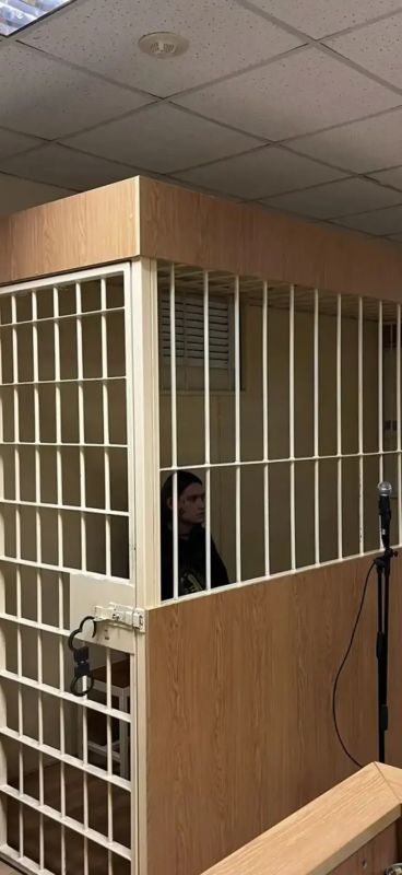 «Плохое поведение» привело треш-блогера, убившего голубя, в СИЗО