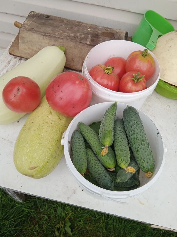 Секреты простых заготовок на зиму: вкусные рецепты для ленивых