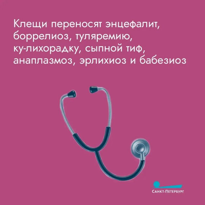 Мы все — в зоне риска: необходимо прививаться от клещевого энцефалита, даже если вы не грибник Мы все — в зоне риска: необходимо прививаться от клещевого энцефалита, даже если вы не грибник