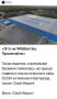 ������ ��������: ������ "������� ��������" BFM ����� �� ������� ����� ��������� ���� ������ �� ������� WB