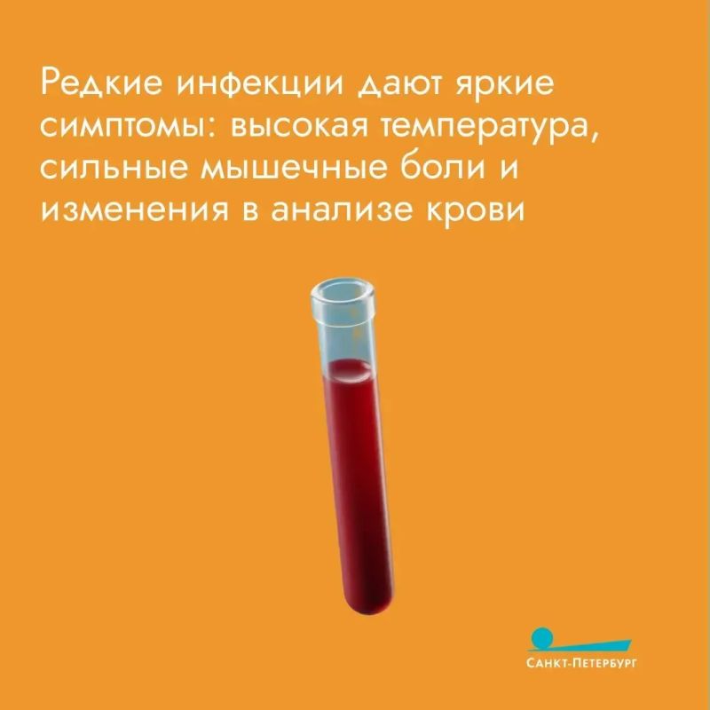 Мы все — в зоне риска: необходимо прививаться от клещевого энцефалита, даже если вы не грибник Мы все — в зоне риска: необходимо прививаться от клещевого энцефалита, даже если вы не грибник