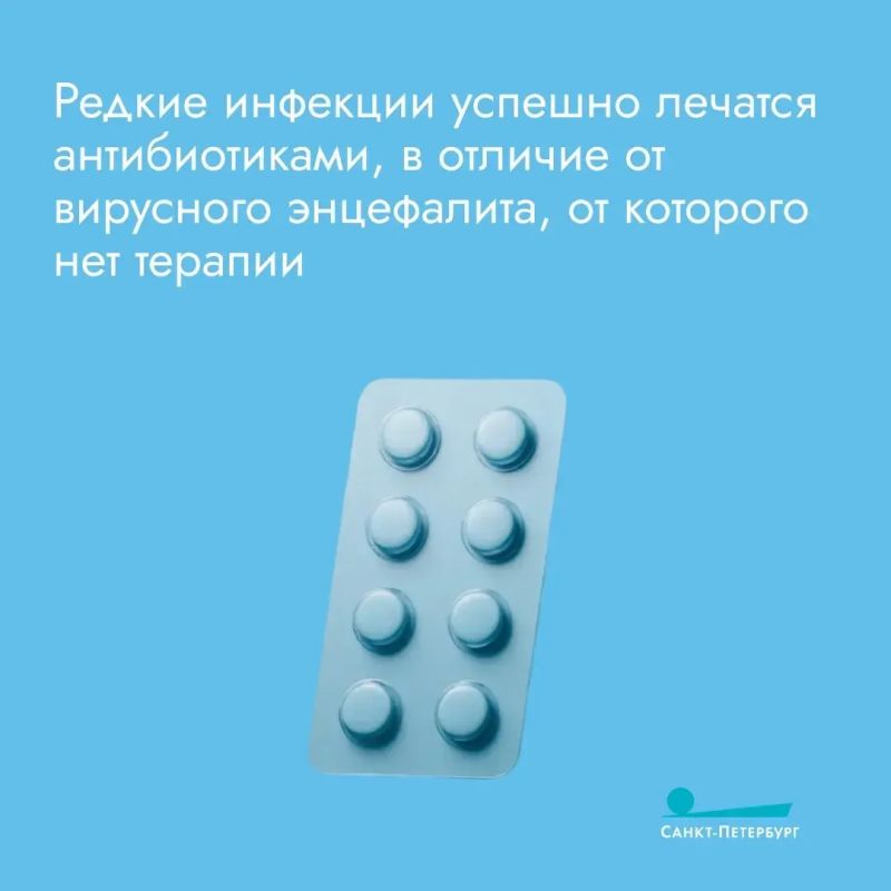 Мы все — в зоне риска: необходимо прививаться от клещевого энцефалита, даже если вы не грибник Мы все — в зоне риска: необходимо прививаться от клещевого энцефалита, даже если вы не грибник
