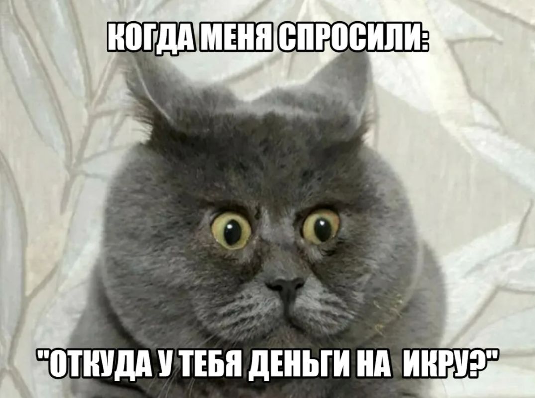 Откуда дровишки? При дорогих покупках теперь придётся отчитываться перед ФНС