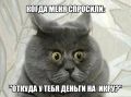 Откуда дровишки? При дорогих покупках теперь придётся отчитываться перед ФНС