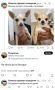 ������� ������: #��� �� ����. ���������� ����� ������ "�� ����� �...����?"