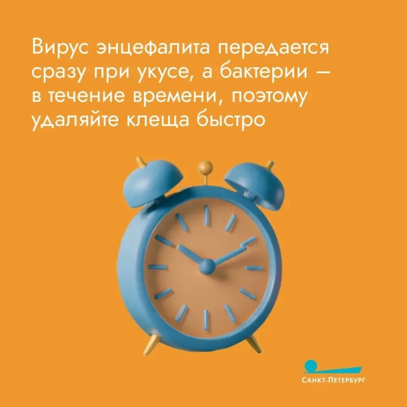 Мы все — в зоне риска: необходимо прививаться от клещевого энцефалита, даже если вы не грибник Мы все — в зоне риска: необходимо прививаться от клещевого энцефалита, даже если вы не грибник