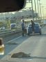 К грустным новостям: на Московском шоссе сбили 2 собак