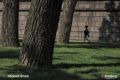 ��-������� ������ ���� ����� � ���������� 30 ����