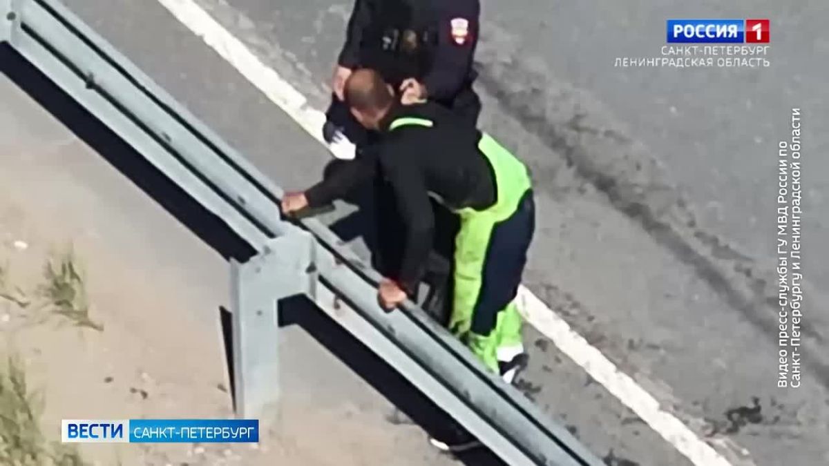 Полиция провела масштабный рейд на стройках в Пушкинском районе