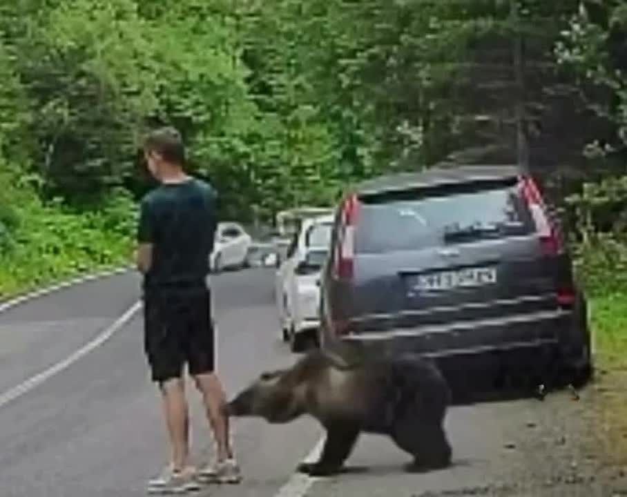 – Ты меня видишь?.
– А если укушу?