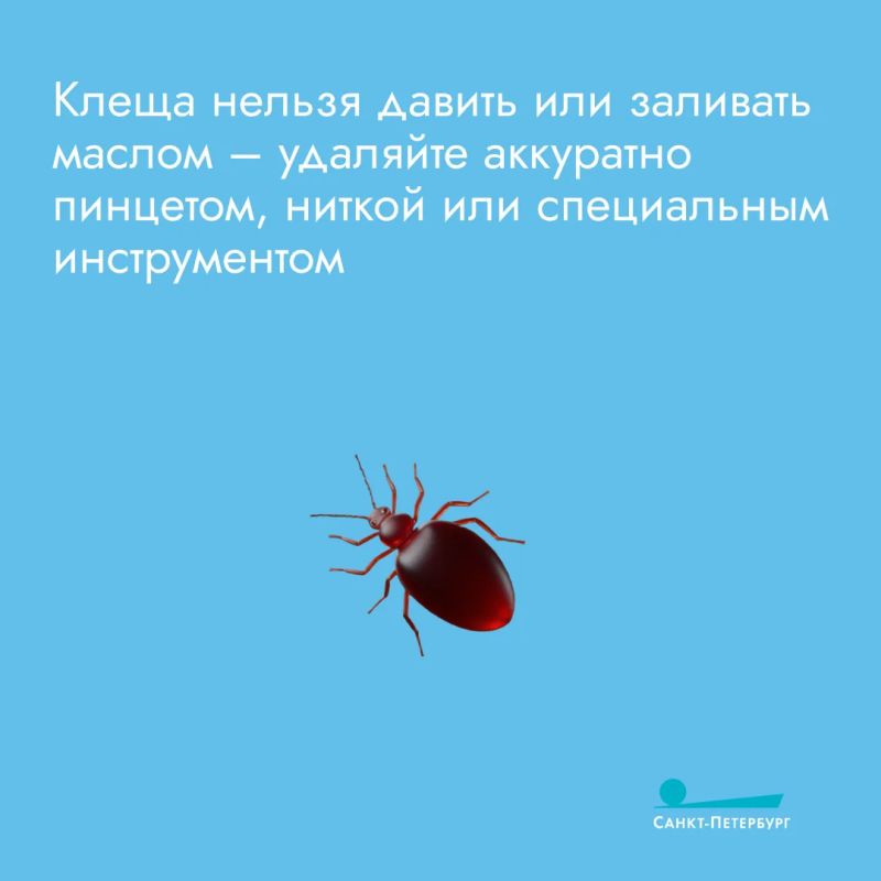 Вакцинация в сезон клещей крайне важна! Она является единственным надежным способом предотвратить тяжелое поражение центральной нервной системы при заражении вирусом клещевого энцефалита, для которого не существует... Вакцинация в сезон клещей крайне важна! Она является единственным надежным способом предотвратить тяжелое поражение центральной нервной системы при заражении вирусом клещевого энцефалита, для которого не существует...