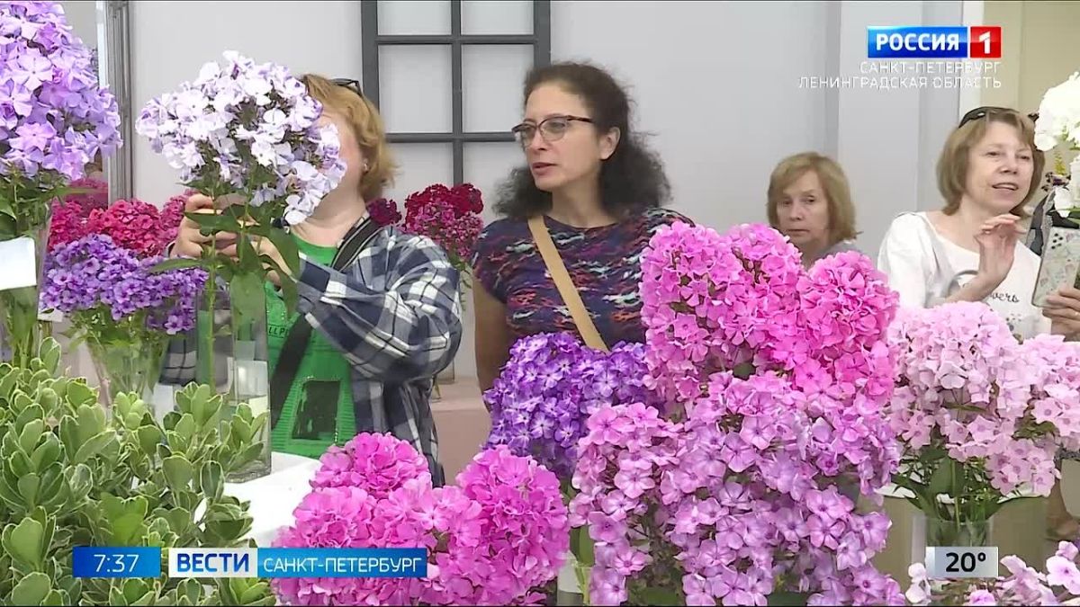 Вести Санкт-Петербург. Выпуск 07.35 от 31.07.2026