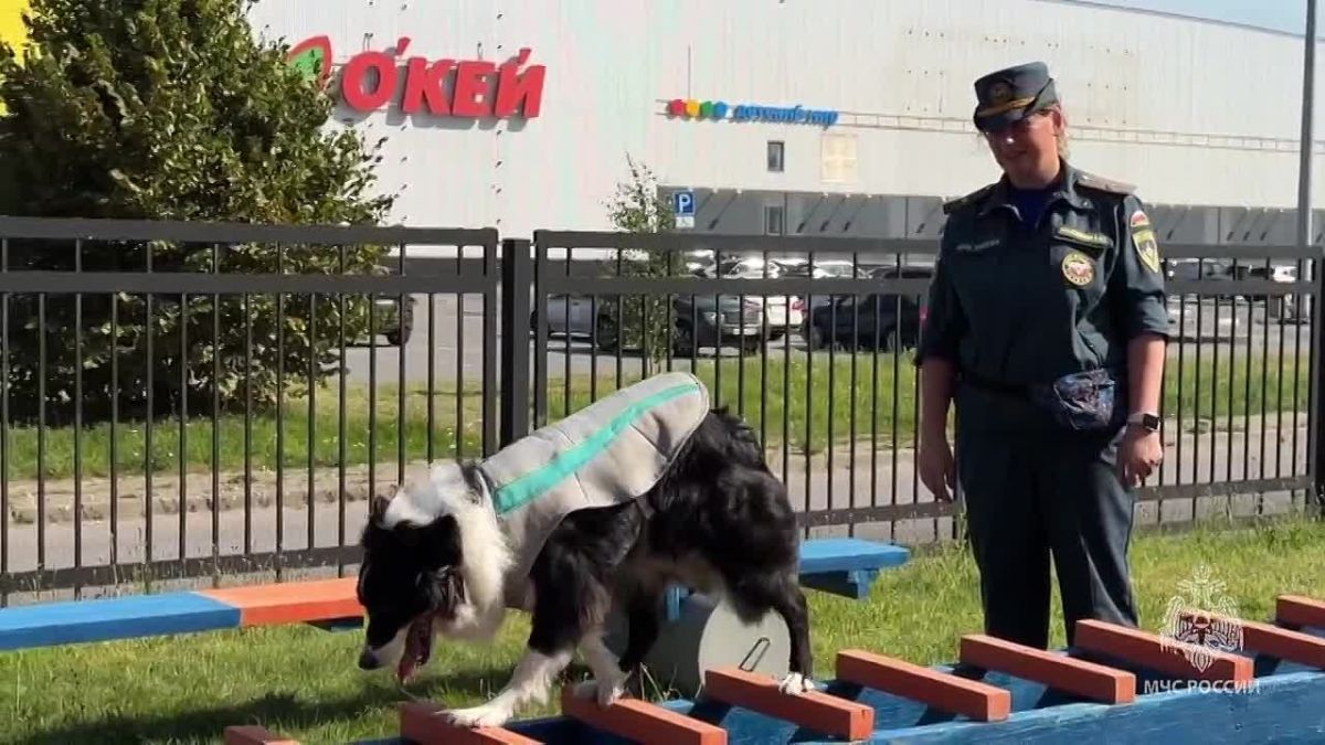 «Локация безопасности» развернулась сегодня на площадке возле Дома молодежи Приморского района Санкт-Петербурга