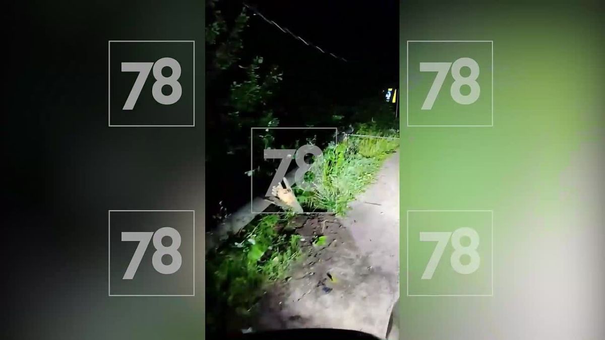 Легковушка влетела в столб ЛЭП в Ленобласти