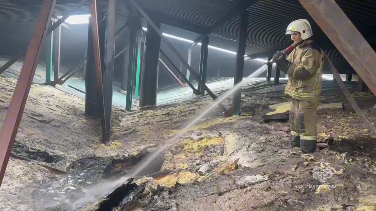 2500 поросят погибли при пожаре в Курганской области