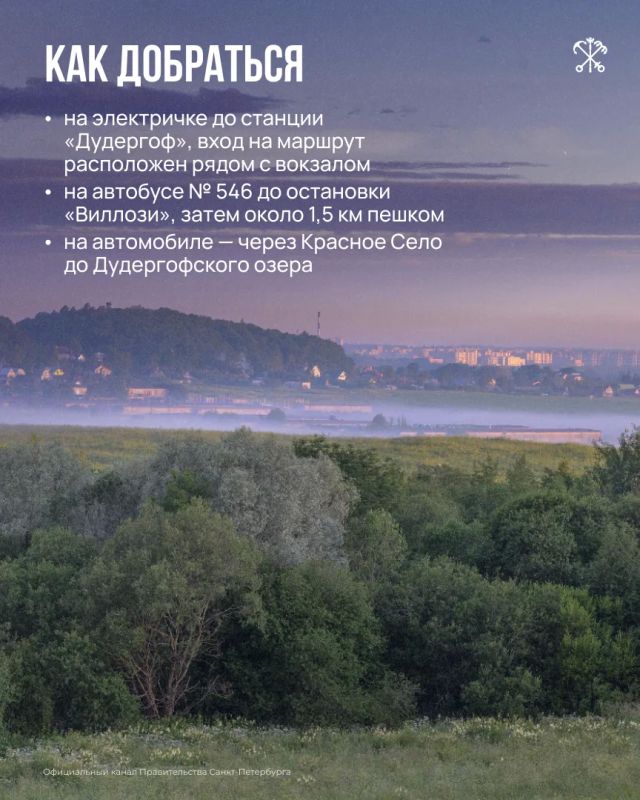 Экотропа «Дудергофские высоты» проходит по живописным холмам ледникового происхождения, среди которых находится самая высокая точка Петербурга Экотропа «Дудергофские высоты» проходит по живописным холмам ледникового происхождения, среди которых находится самая высокая точка Петербурга