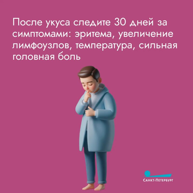 Вакцинация в сезон клещей крайне важна! Она является единственным надежным способом предотвратить тяжелое поражение центральной нервной системы при заражении вирусом клещевого энцефалита, для которого не существует... Вакцинация в сезон клещей крайне важна! Она является единственным надежным способом предотвратить тяжелое поражение центральной нервной системы при заражении вирусом клещевого энцефалита, для которого не существует...