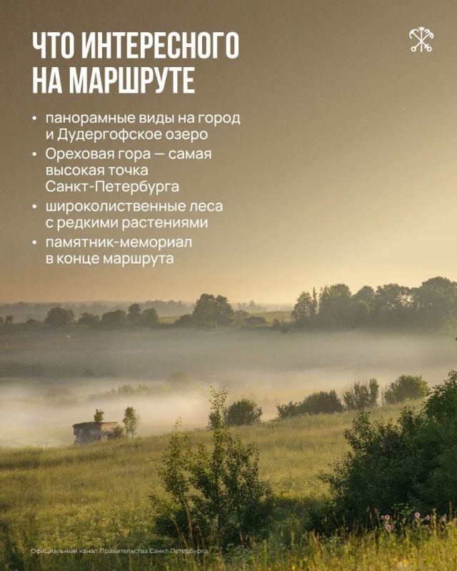 Экотропа «Дудергофские высоты» проходит по живописным холмам ледникового происхождения, среди которых находится самая высокая точка Петербурга Экотропа «Дудергофские высоты» проходит по живописным холмам ледникового происхождения, среди которых находится самая высокая точка Петербурга