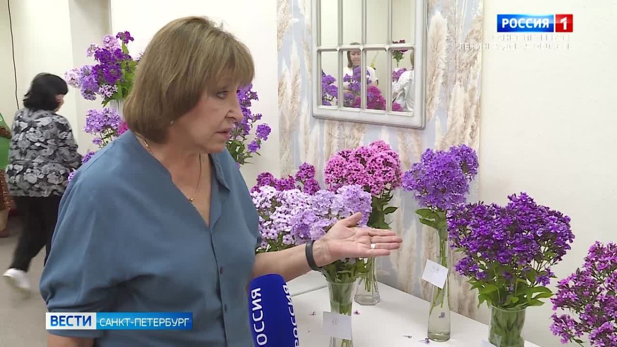 В Ботаническом саду открылась выставка флоксов