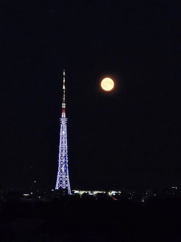 Оленья луна взошла над Петербургом в ночь с 30 на 31 июля