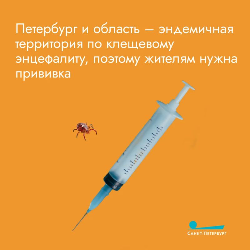 Вакцинация в сезон клещей крайне важна! Она является единственным надежным способом предотвратить тяжелое поражение центральной нервной системы при заражении вирусом клещевого энцефалита, для которого не существует...