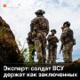 ���� �����������: ������ �� ����� ���� ��������� ���������� ��� ��������� ���, ������� �����������
