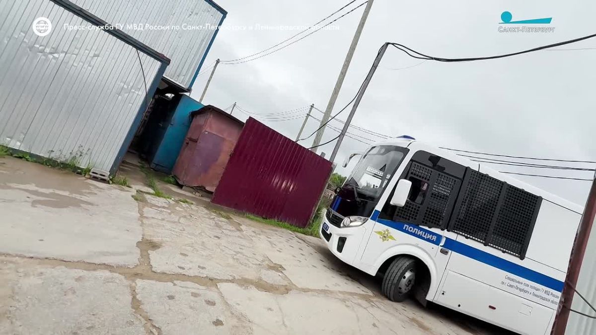 Полиция устроила рейд на стройках Ломоносовского района – часть мигрантов пыталась скрыться в лесу