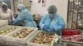 Mash на аппетите вещает: мы посмотрели на 100 свежих позиций меню предоплаченного питания в поездах