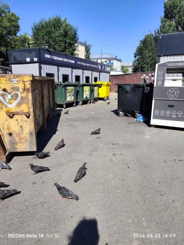 Рейдерский захват помойки: казанские коммунальщики капитулировали перед бомжами Рейдерский захват помойки: казанские коммунальщики капитулировали перед бомжами