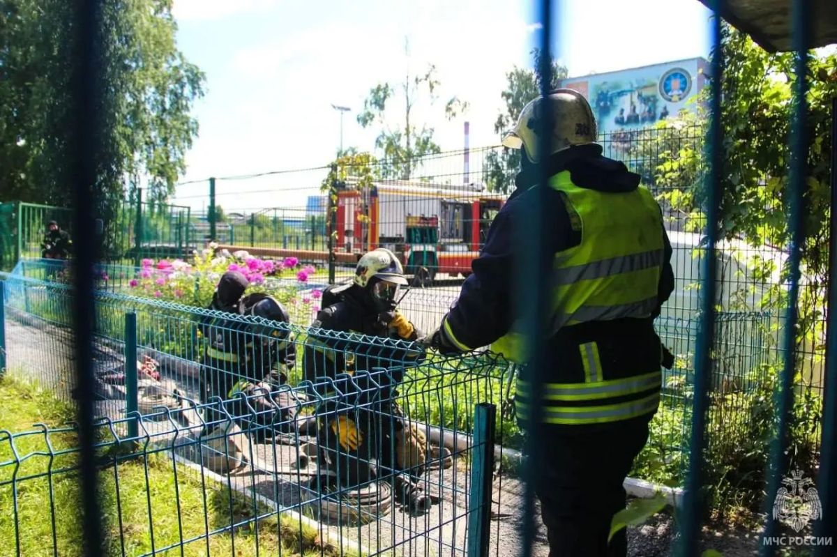В Пожарно-спасательном колледже Петербурга прошли учения по тушению условного пожара В Пожарно-спасательном колледже Петербурга прошли учения по тушению условного пожара