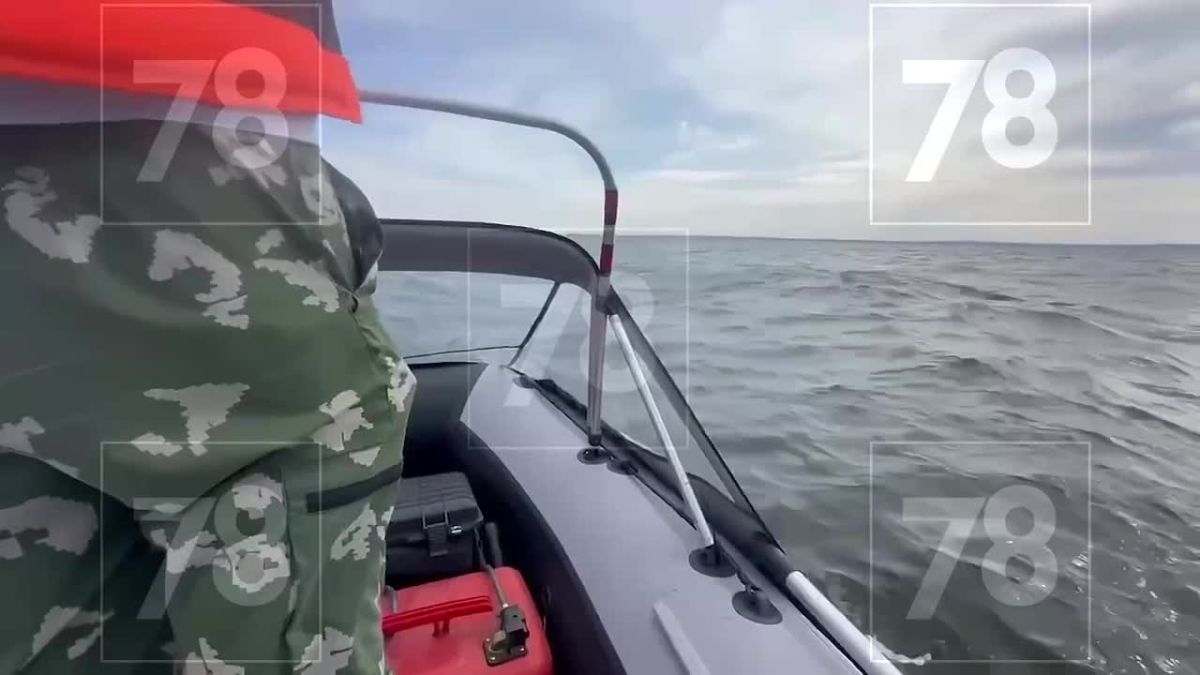 На Финском заливе больше недели ищут пропавшего мужчину
