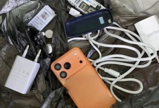 Петербуржец попытался пронести в СИЗО спрятанные в кроссовках телефоны Петербуржец попытался пронести в СИЗО спрятанные в кроссовках телефоны