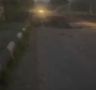 ��������� ���: ���� �� ��������� ����� � ���������