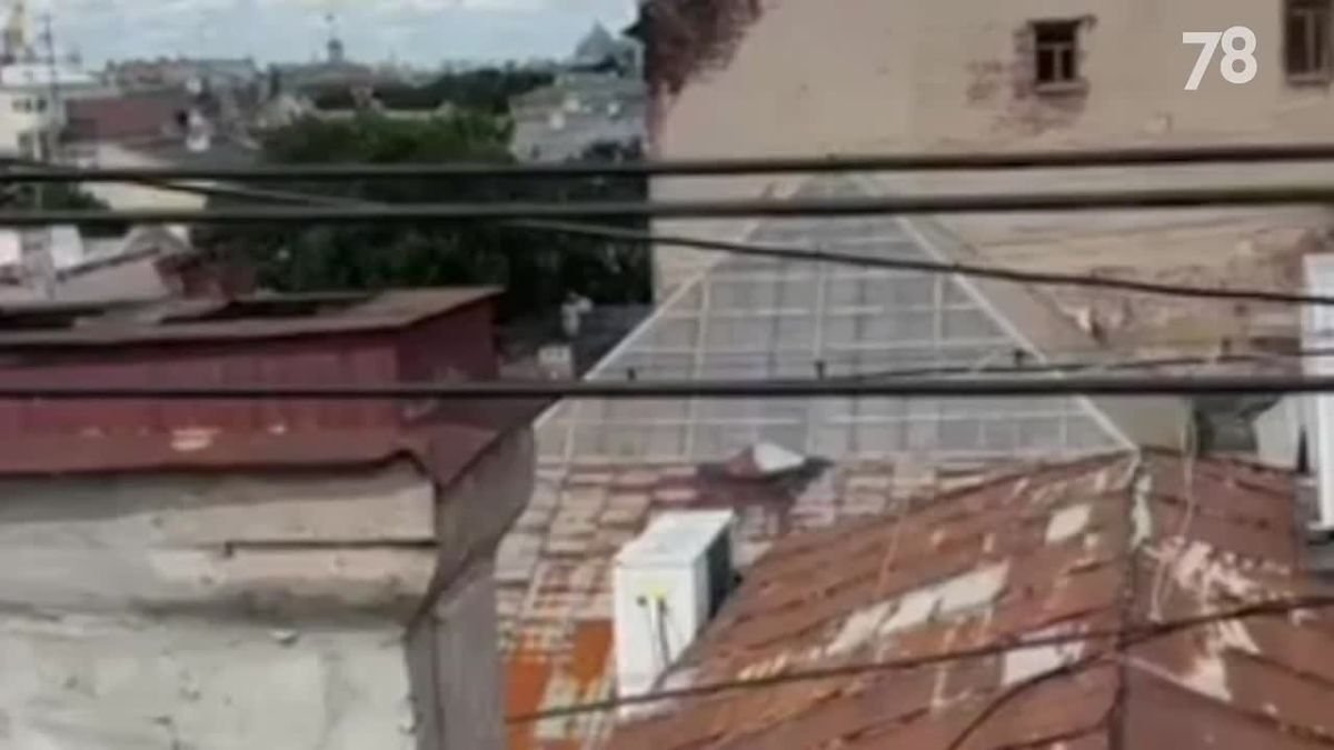 На видео — нелегальная прогулка по крыше, после которой полиция задержала экскурсовода и организатора опасного досуга