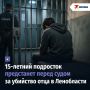 15-летний подросток предстанет перед судом за убийство отца в Ленобласти