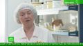 На крупнейшем в Европе производстве курятины и яиц продемонстрировали систему безопасности