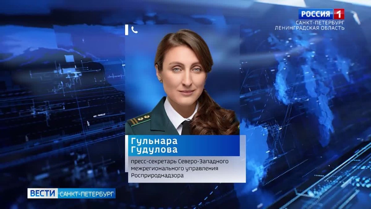 Затонувший у Выборгской набережной дебаркадер нанес вред на 73 млн рублей